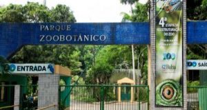 Foto: DivulgaA�A?o