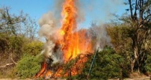 Foto: DivulgaA�A?o/PolA�cia Militar