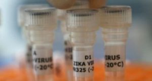 20322,testes-em-seres-humanos-de-nova-vacina-contra-virus-zika-e-anunciada-pelos-eua-2