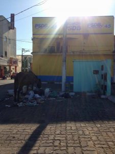 Foto: ReproduA�A?o