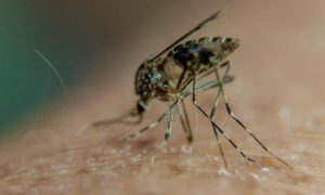 Foto: AFP PHOTO / PHILIPPE HUGUEN - PHILIPPE HUGUEN / AFP