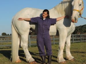 (Foto: Caio Gomes Silveira/ G1)