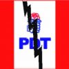 PDT - BANDEIRA