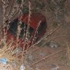 Carro caído em canal em Luís Eduardo Magalhães (Foto: Elvis Araújo / Blog do Braga)