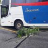 Asfalto cede em trecho da BR-101 (Foto: Reprodução/Radar 64)