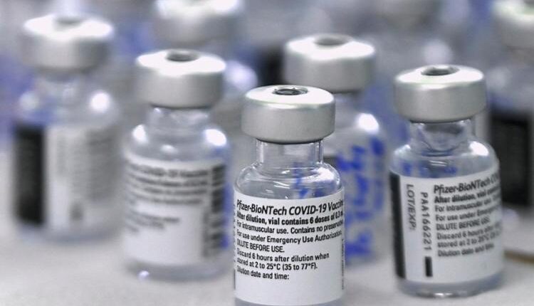 Imunizante requer condições específicas de armazenamento. Foto: Reprodução