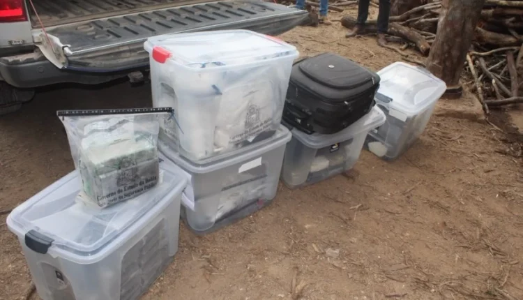 Polícia Civil incinera cerca de 100 quilos de drogas em Euclides da Cunha