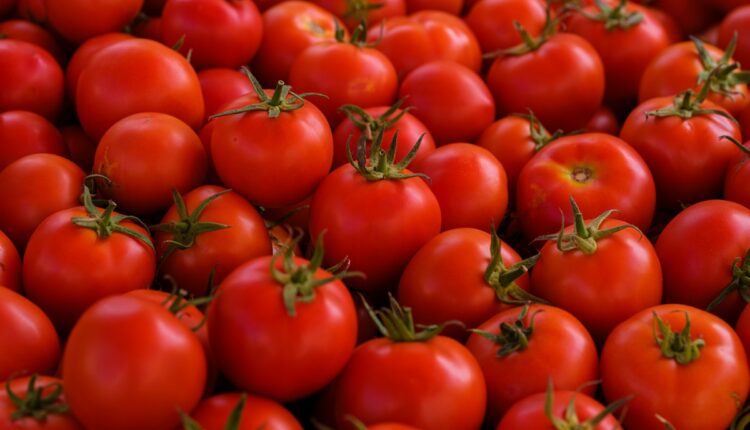 composto do tomate pode ajudar a prevenir gordura no figado