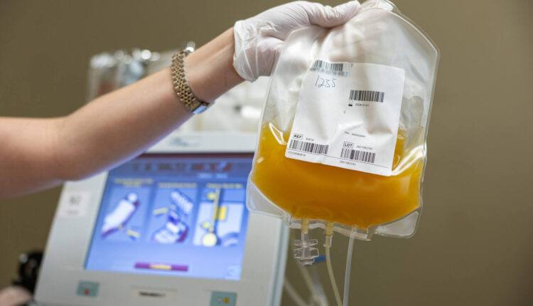 Ensaio com mil pacientes testa plaquetas refrigeradas por 21 dias