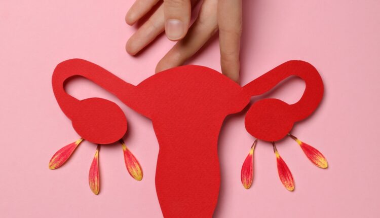 estudo da usp testa reposicao hormonal seletiva para a menopausa