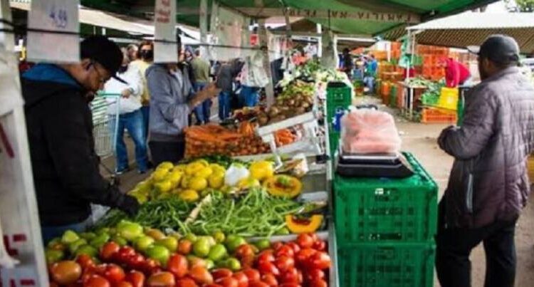 Consumidores em feira de hortifruti