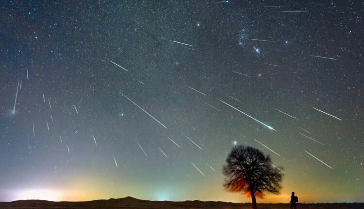 Céu estrelado com rastros de meteoros sobre uma árvore