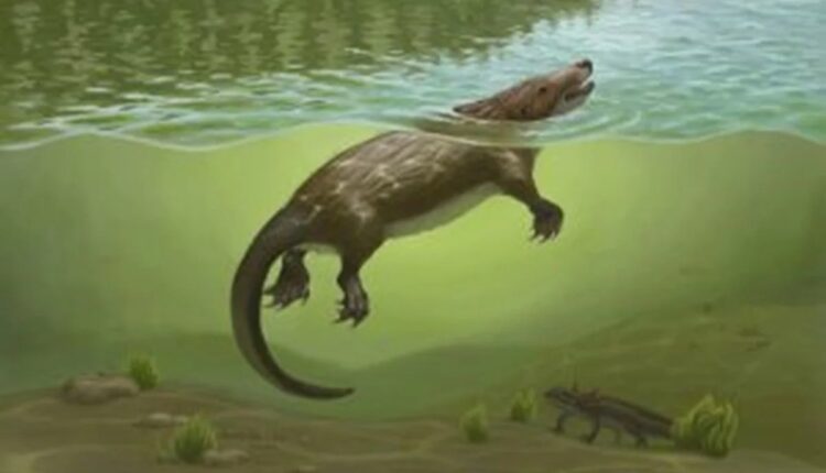 Ilustração de pequeno animal pré-histórico semelhante a mamífero