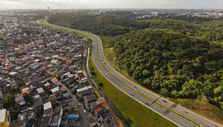 Vista aérea de avenida em Salvador